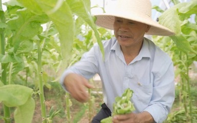 “草帽书记”普尙福 带领群众奔小康