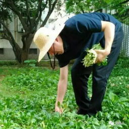 探寻草帽的编织技艺