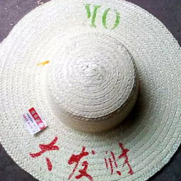 鹿邑草帽加工厂定制各种漂白草帽广告帽可印字样穿帽带质量保证图片,鹿邑草帽加工厂定制各种漂白草帽广告帽可印字样穿帽带质量保证高清图片 河南鹿邑草帽厂,