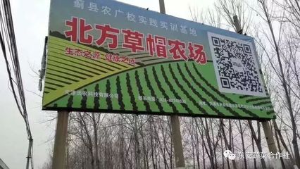 高度认可!唐茂芝博士、中医农业联盟刘苏华秘书长莅临北方草帽农场指导